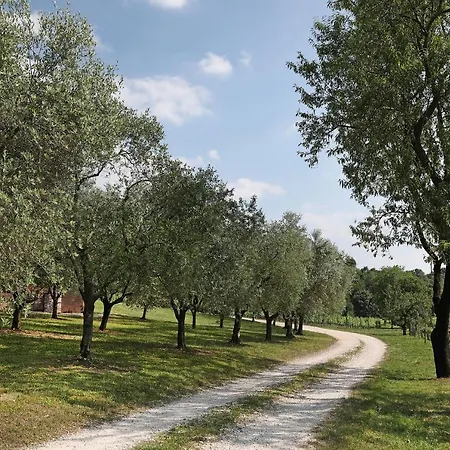 Serene And Wine Farm Lägenhet Affi