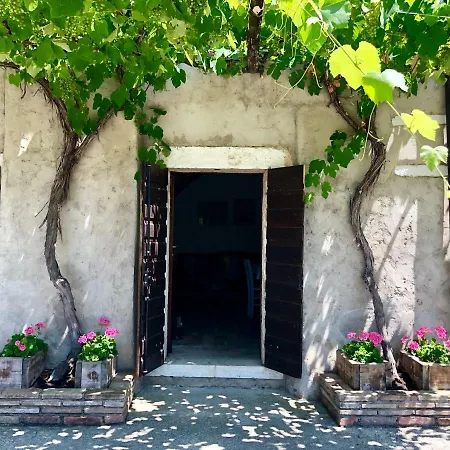 Serene And Wine Farm